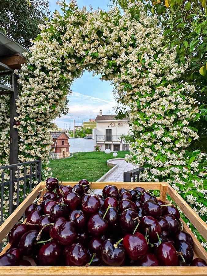 Villa Ardigo - Camera O Appartamento Bari Luaran gambar